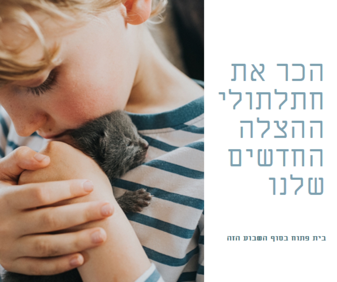 הכר את ההצלה החדשה שלנו pink modern-simple