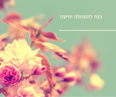 פריחה מדהימה green modern-simple