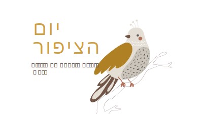 סקיי היא הגבול white whimsical-line