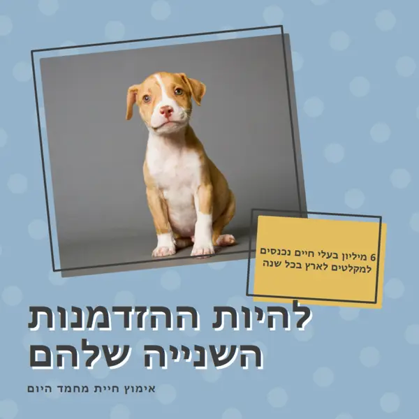 גור הזדמנות שנייה blue modern-bold