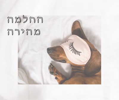 מנוחה white organic-simple