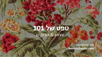 משוחזר באופן מלא green modern-simple