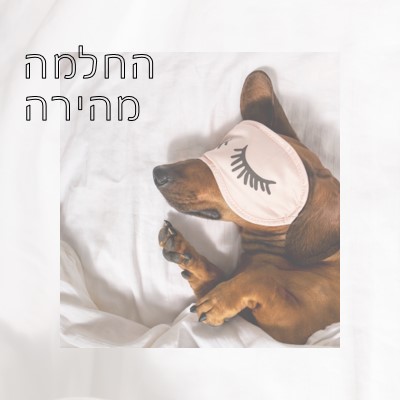 מנוחה white organic-simple