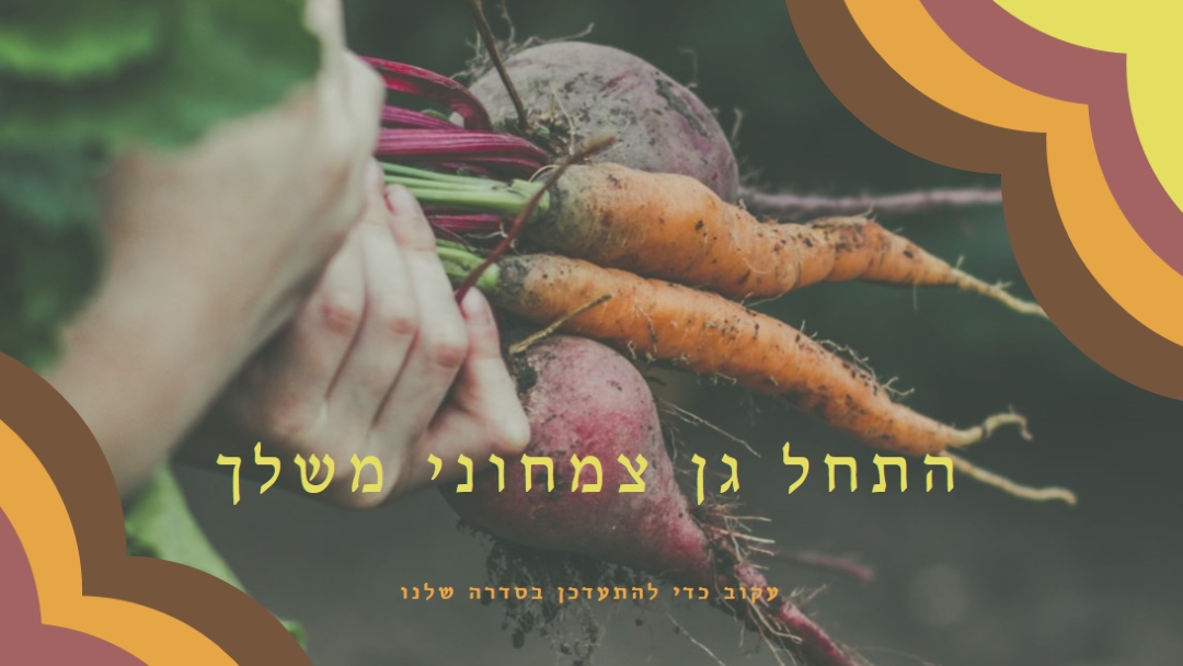 חיים סותרו orange vintage-retro