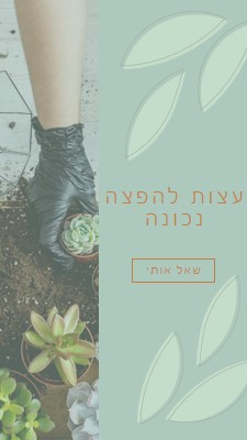 בשרן פשוט green organic-simple