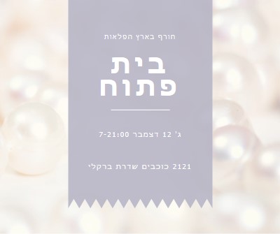 בית פתוח אלגנטי white modern-simple