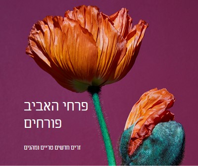 פרחים טריים purple modern-simple