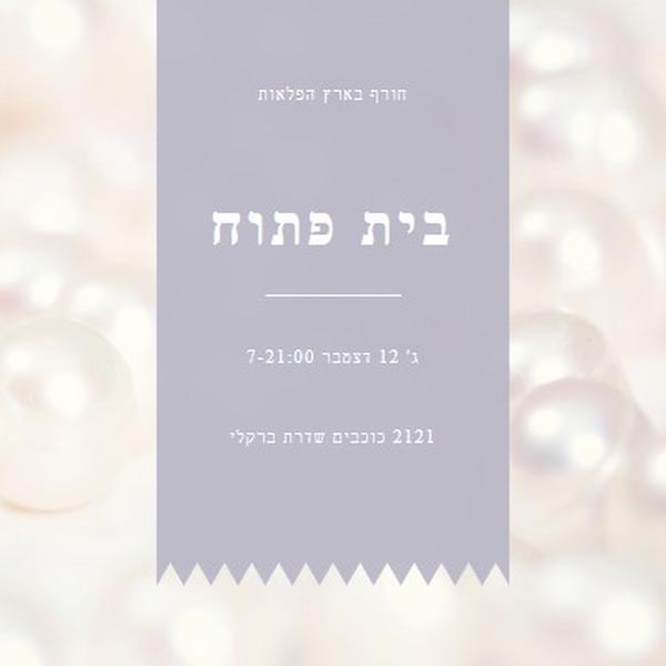 בית פתוח אלגנטי white modern-simple