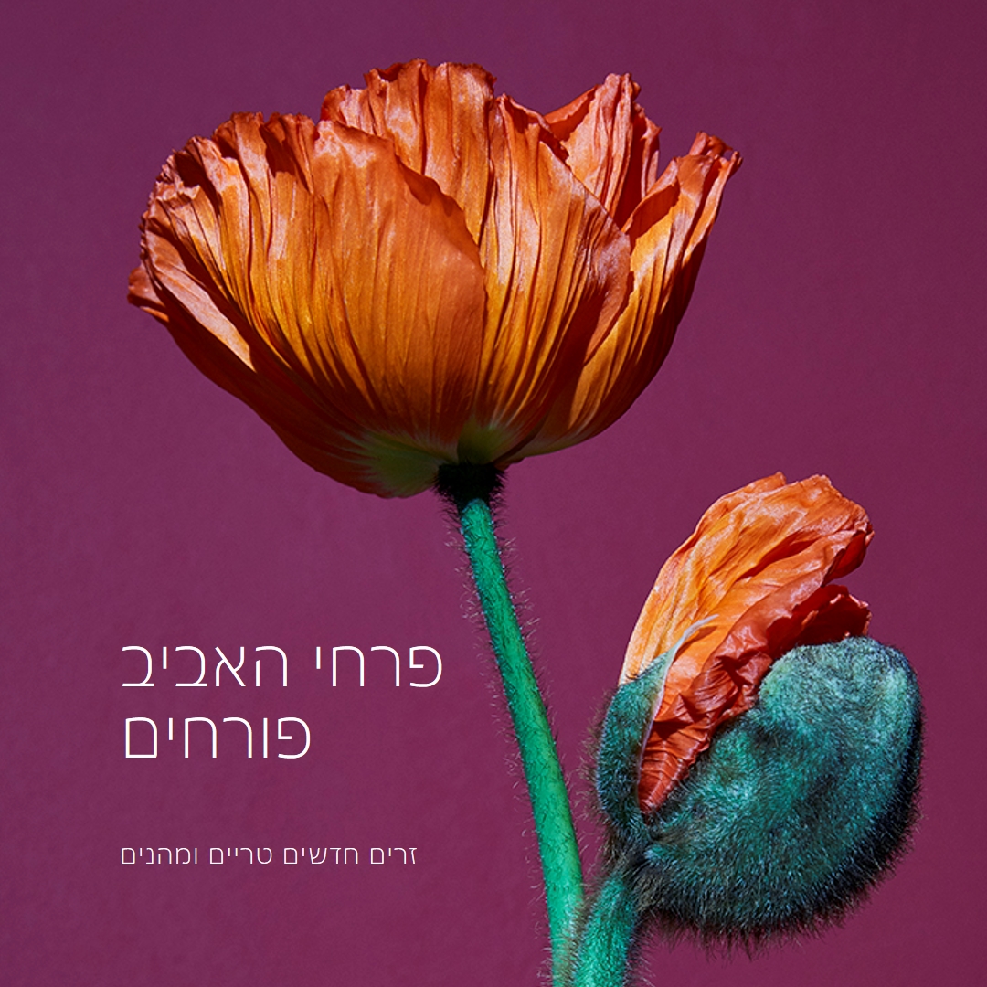פרחים טריים purple modern-simple