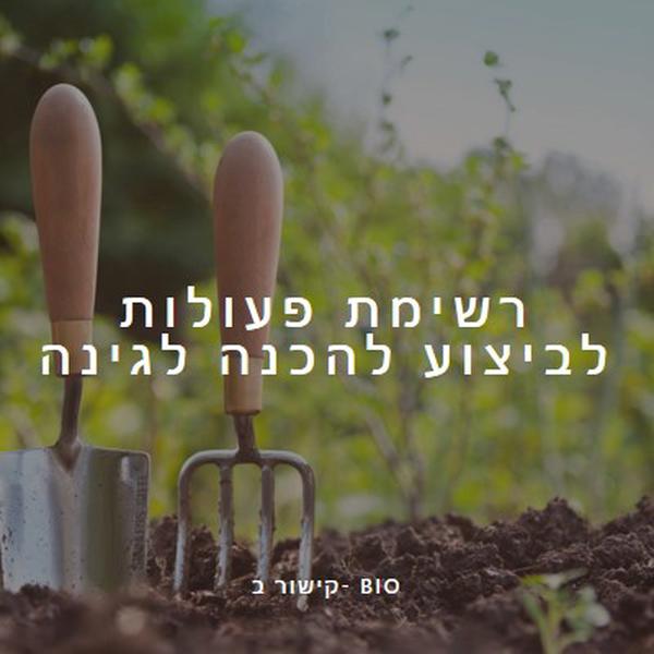 לזרוק את הגלגל green modern-simple