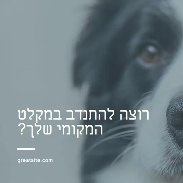 התנדב וה הבא עידוד blue modern-simple