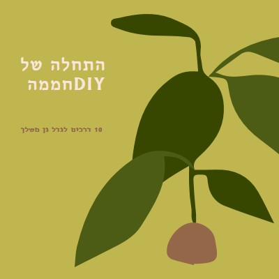 תגדל גן משלך green modern-color-block