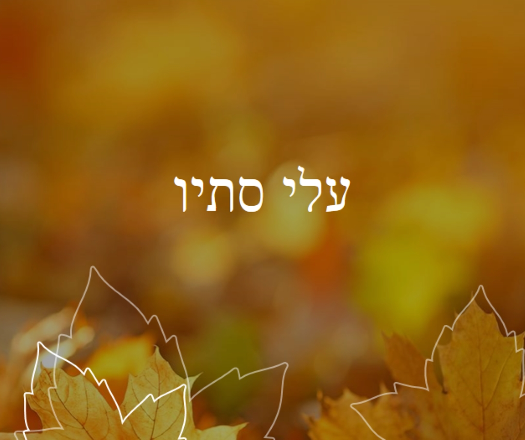 עלי סתיו orange organic-simple