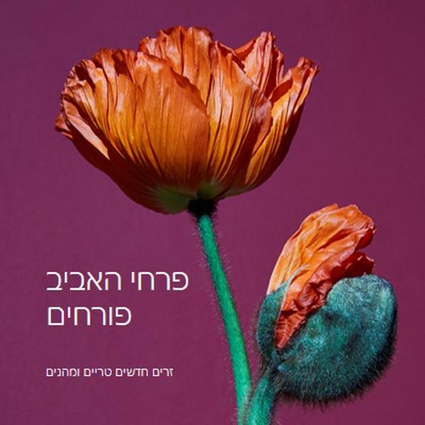 פרחים טריים purple modern-simple