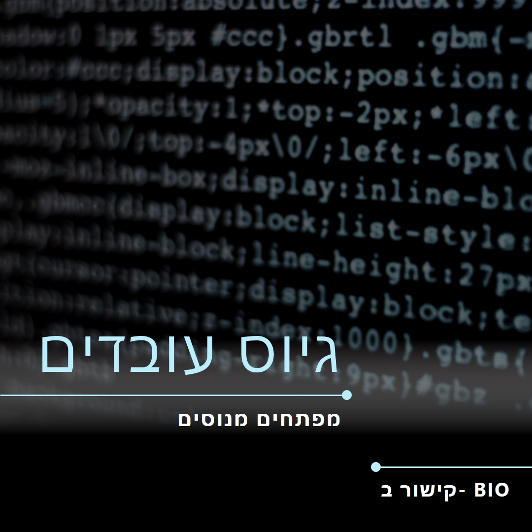 פיתוח מצב black modern-bold