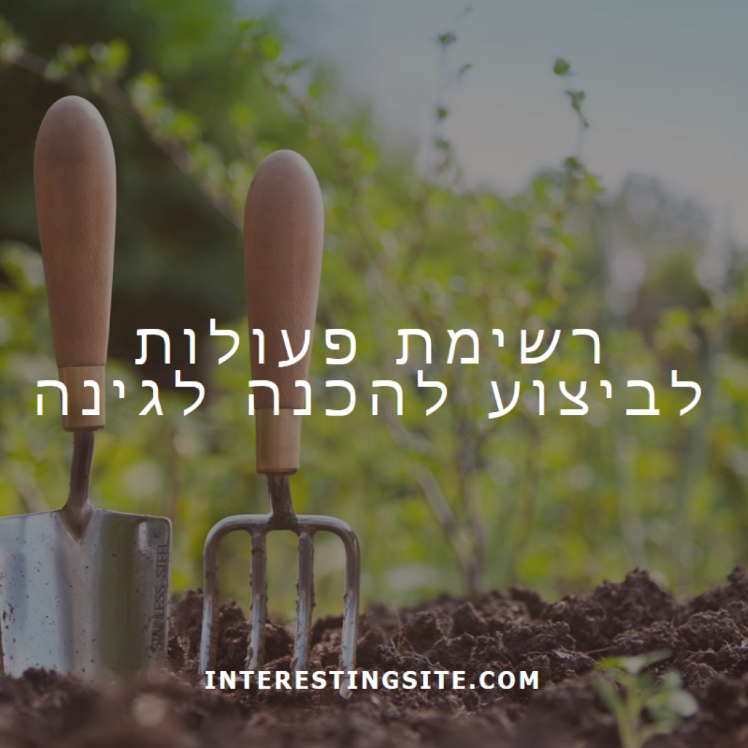 לזרוק את הגלגל green modern-simple