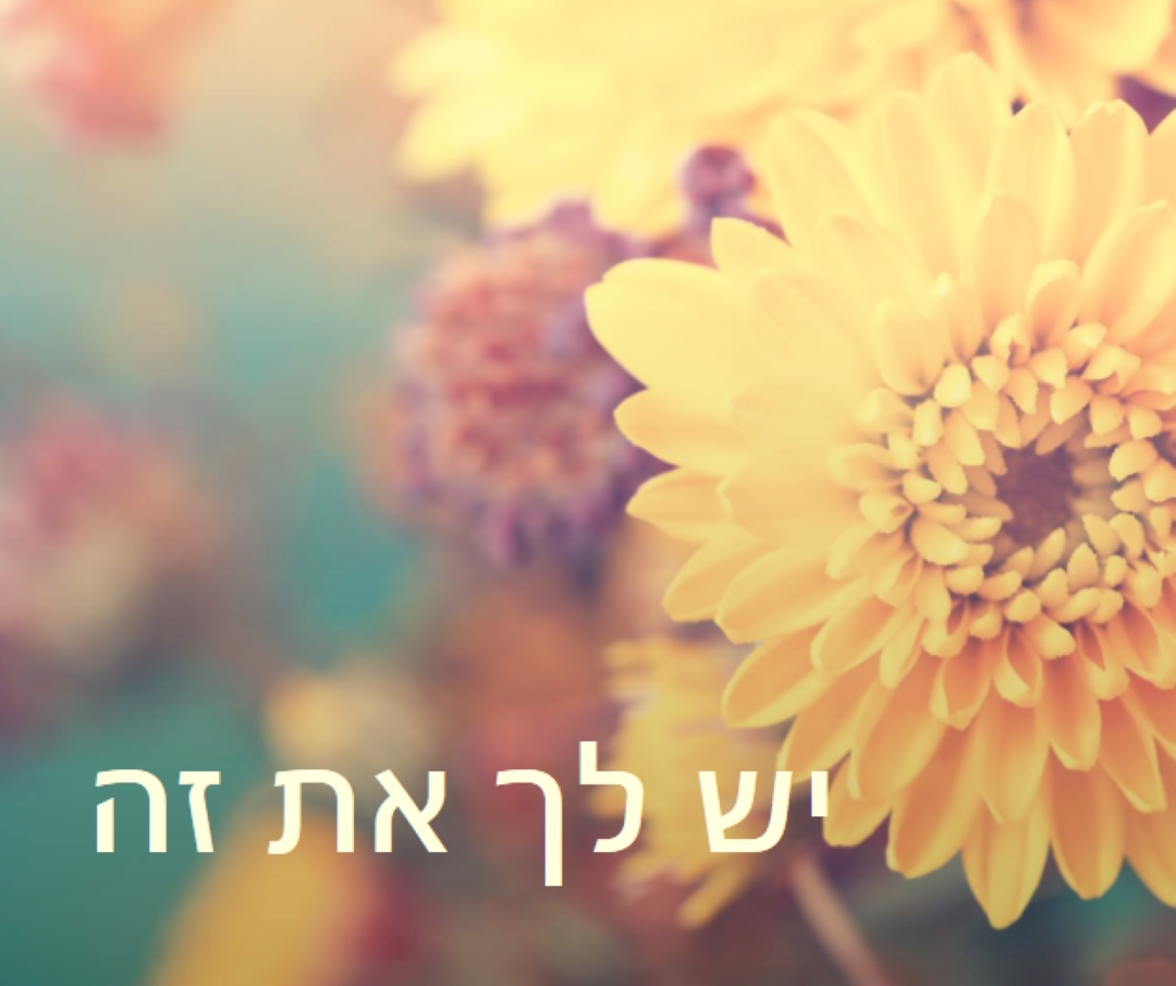 עלי כותרת משגשגים yellow modern-simple