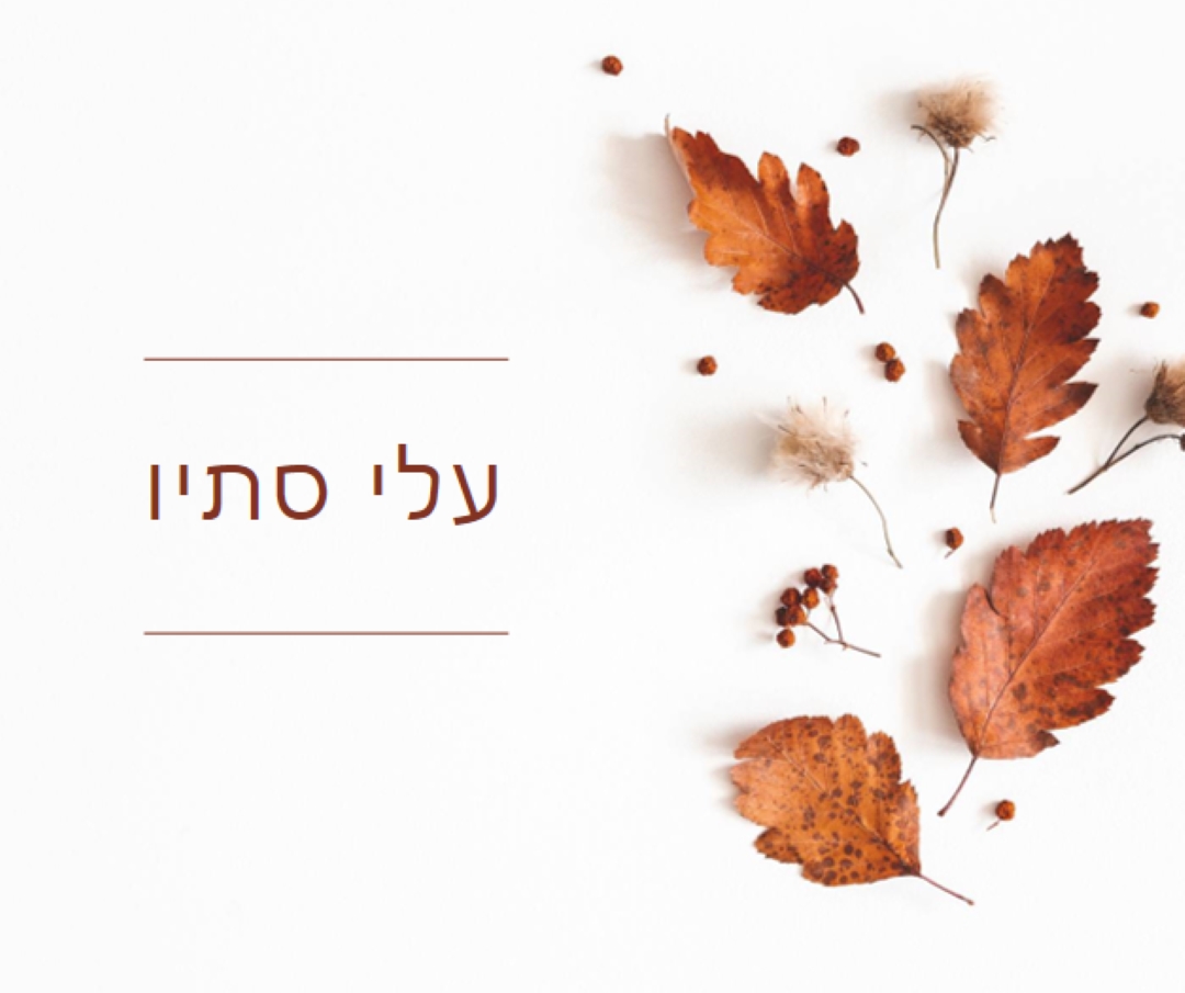 העלים נפלו white modern-simple