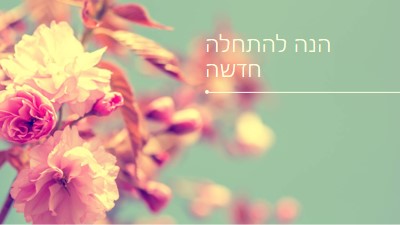 פריחה מדהימה green modern-simple