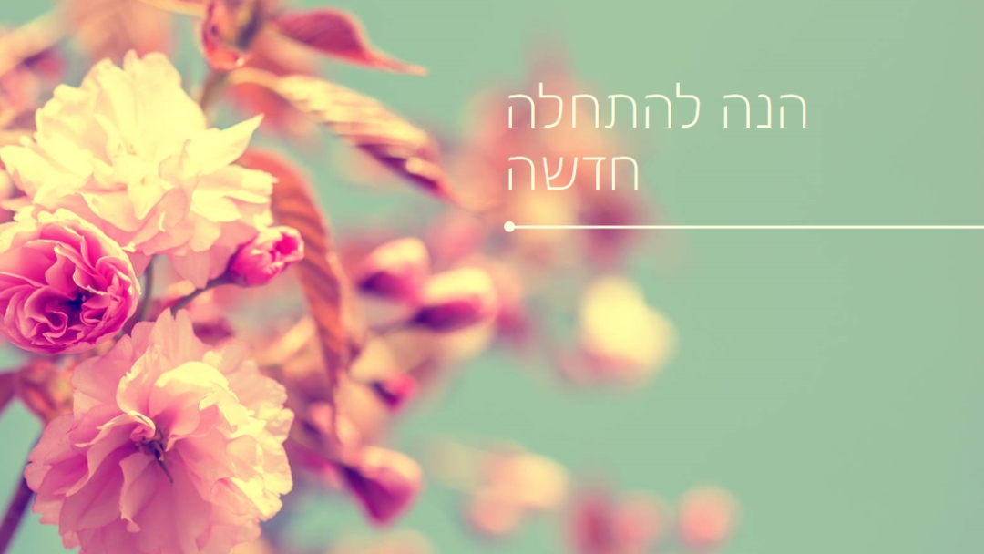 פריחה מדהימה green modern-simple