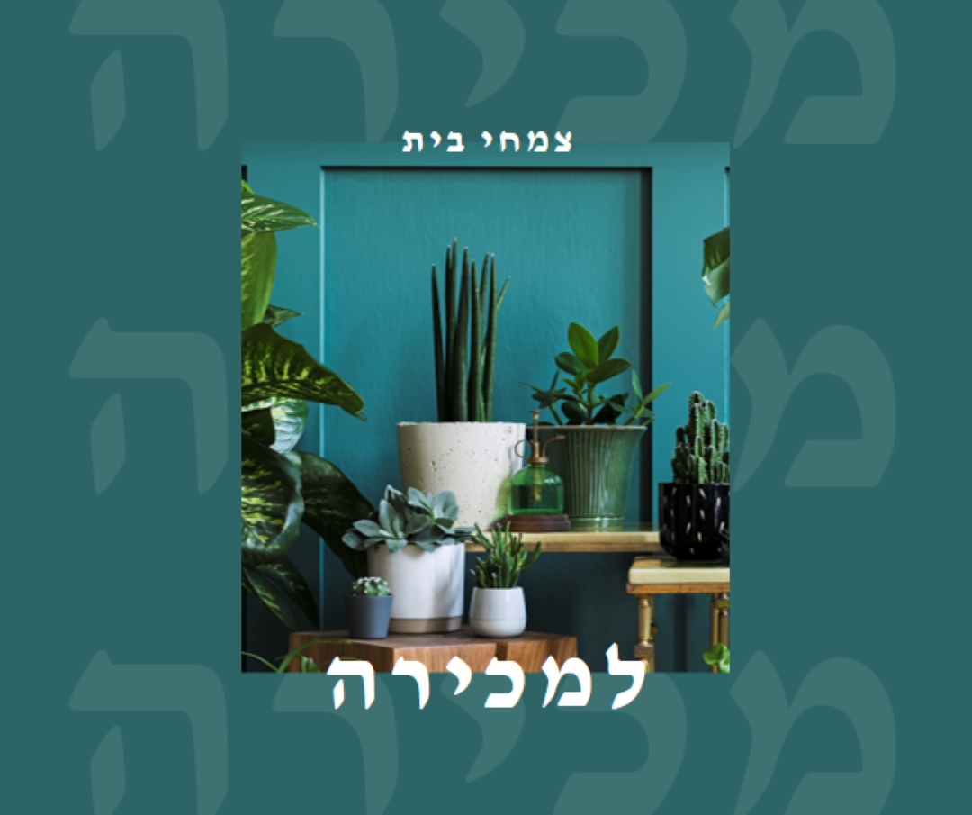 כוח צמח green modern-bold