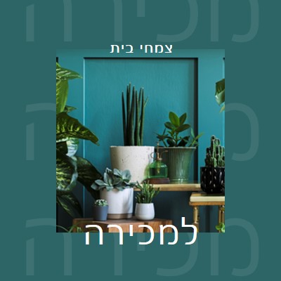 כוח צמח green modern-bold