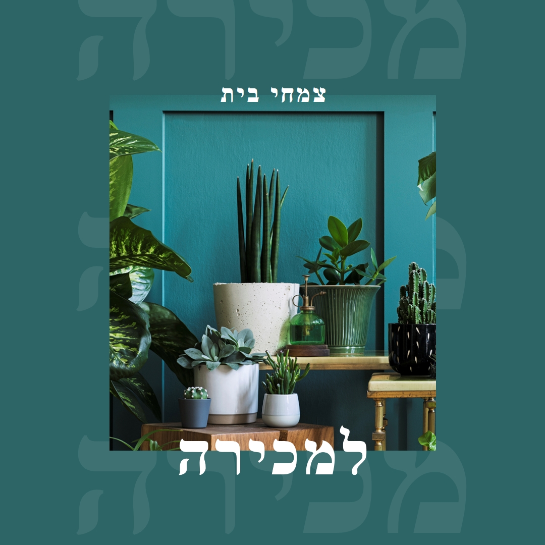 כוח צמח green modern-bold