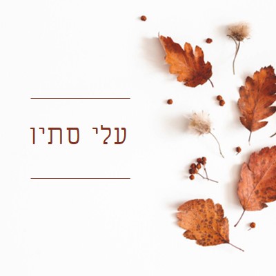 העלים נפלו white modern-simple