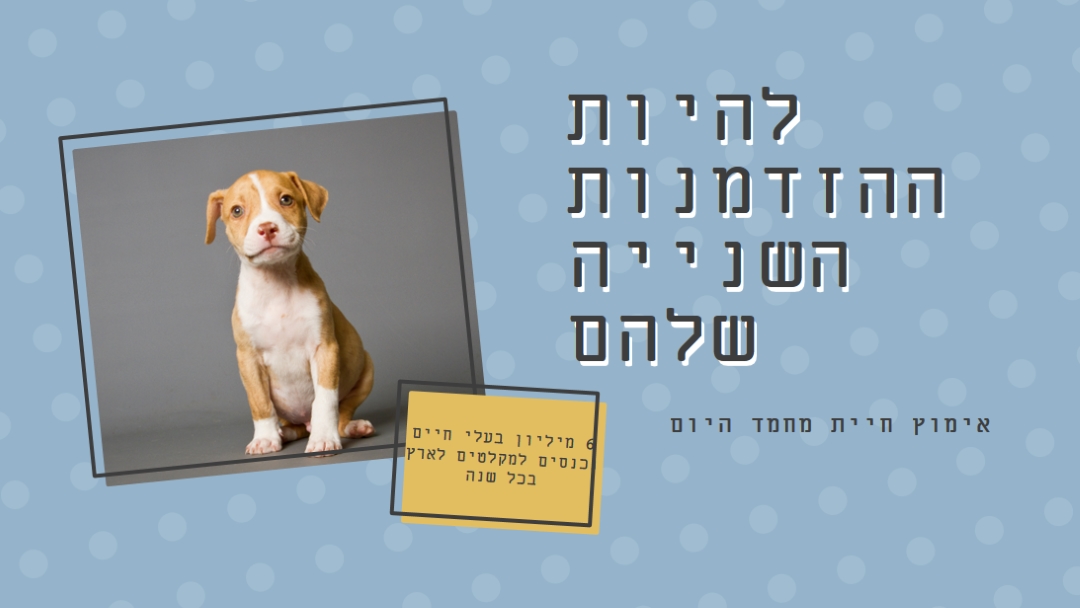 גור הזדמנות שנייה blue modern-bold