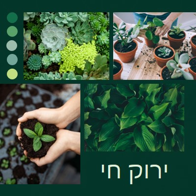 אגודל ירוק חי green photographic,simple,collage,palette,handwriting,graphic