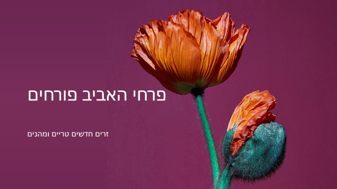 פרחים טריים purple modern-simple