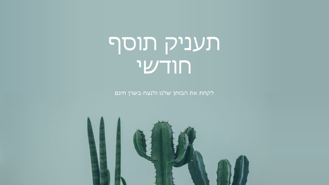 בוחן הענקת תוסף חודשי green modern-simple