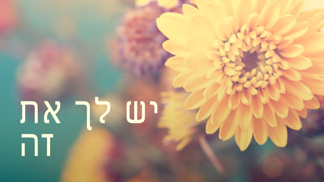 עלי כותרת משגשגים yellow modern-simple