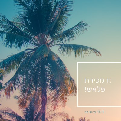 זריחה טרופית blue modern-simple