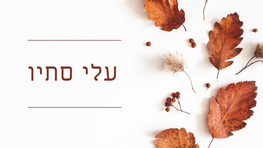 העלים נפלו white modern-simple