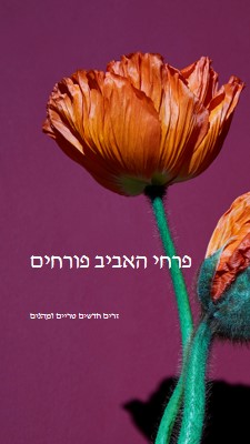 פרחים טריים purple modern-simple