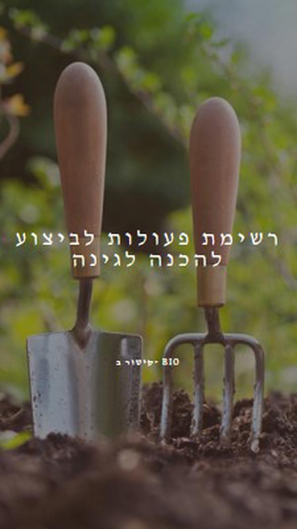 לזרוק את הגלגל green modern-simple