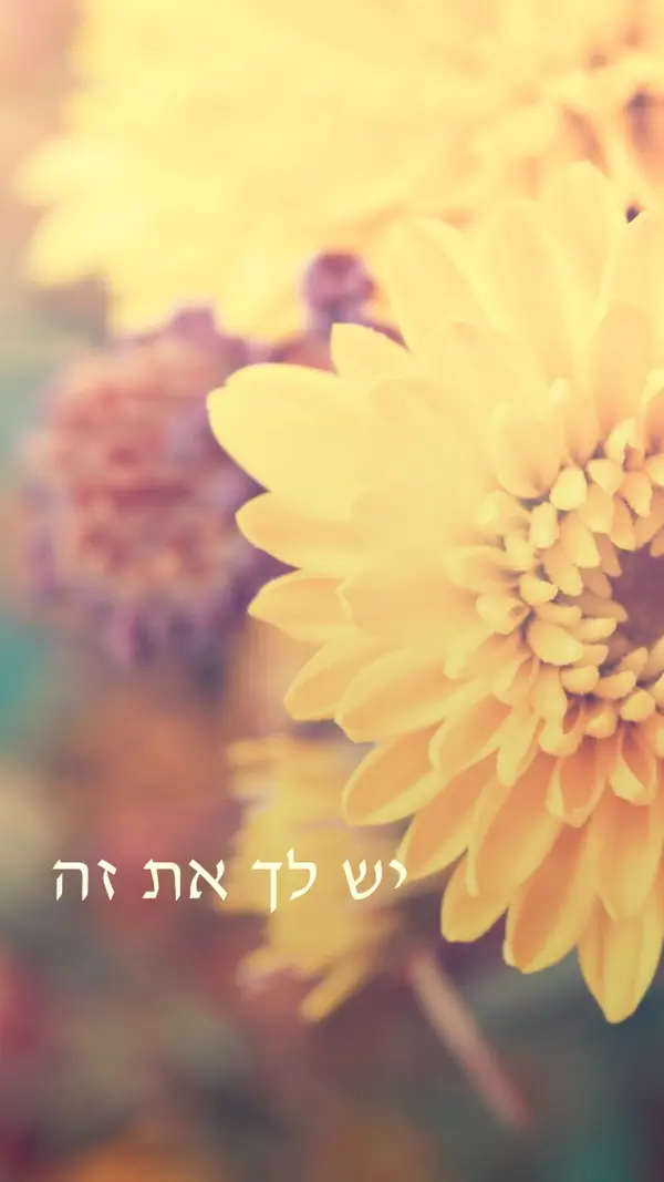 עלי כותרת משגשגים yellow modern-simple