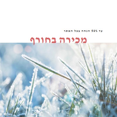 בוקר חורפי white modern-simple