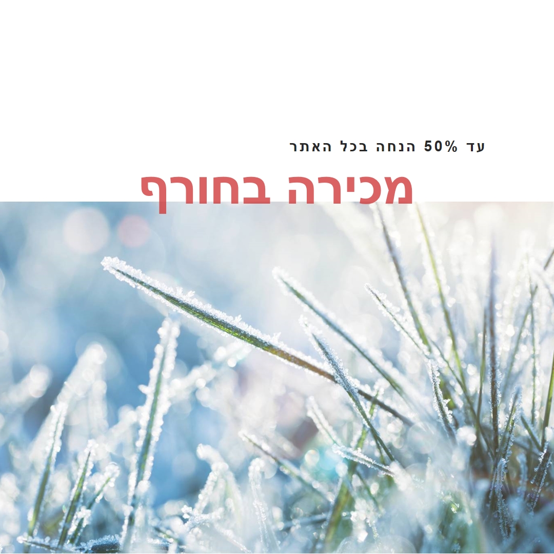 בוקר חורפי white modern-simple