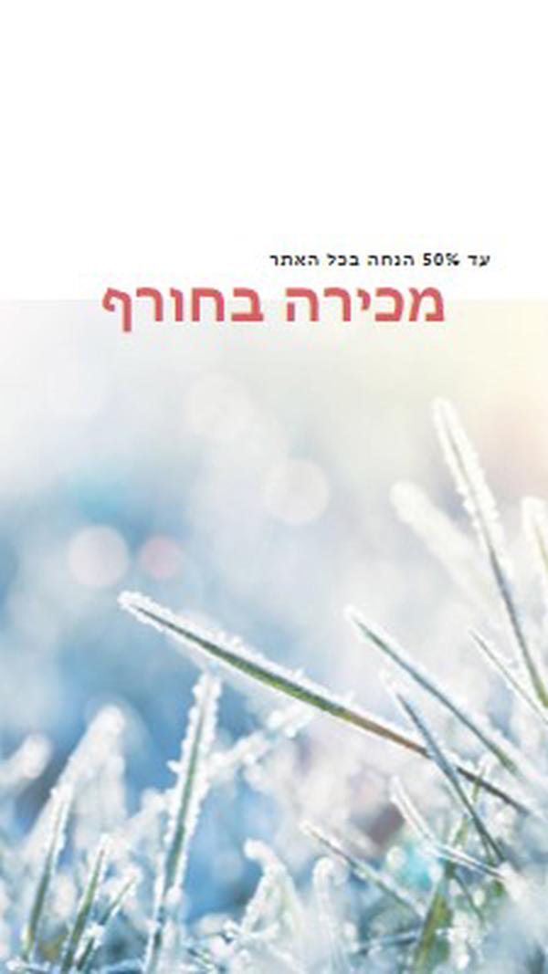 בוקר חורפי white modern-simple