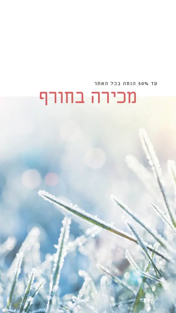 בוקר חורפי white modern-simple