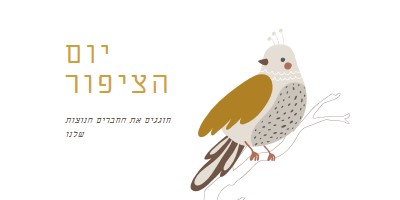 סקיי היא הגבול white whimsical-line