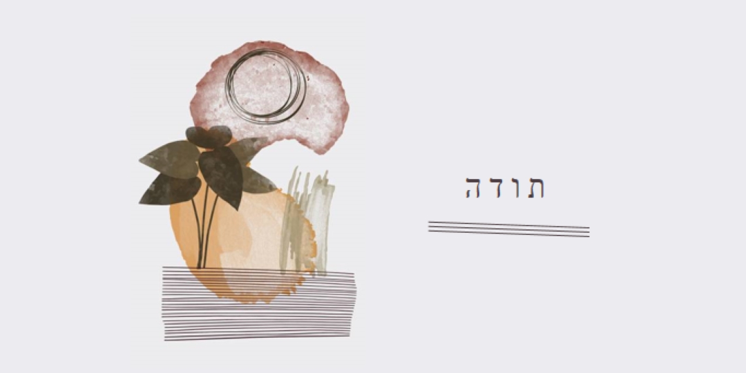 תודה רבה לך בדגש ובאמנויות white organic-simple