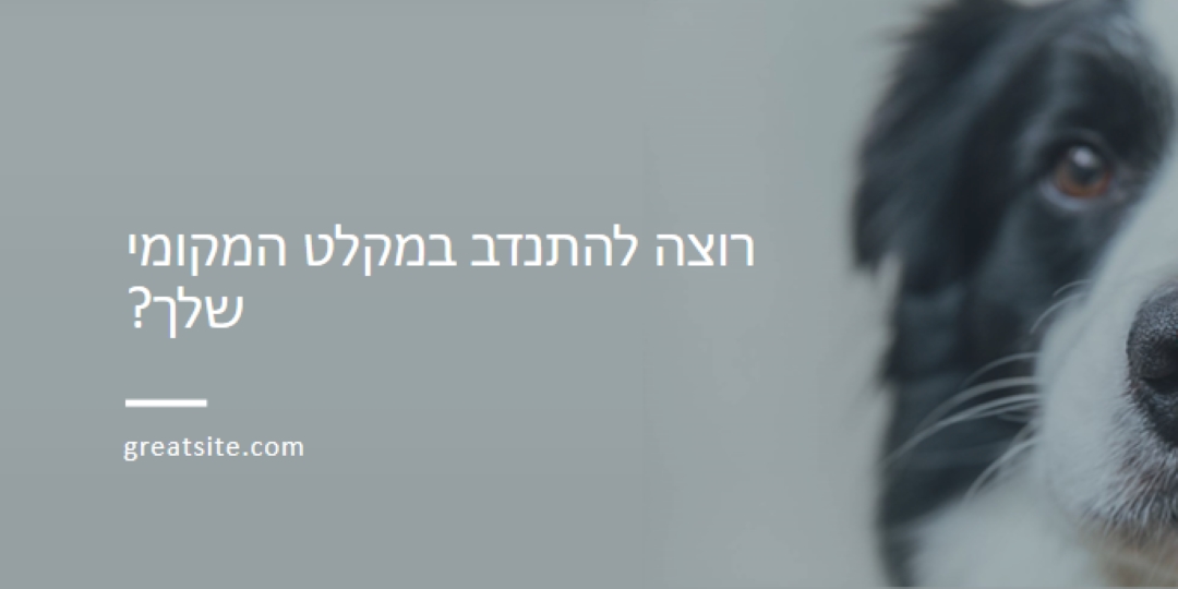 התנדב וה הבא עידוד blue modern-simple