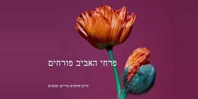 פרחים טריים purple modern-simple