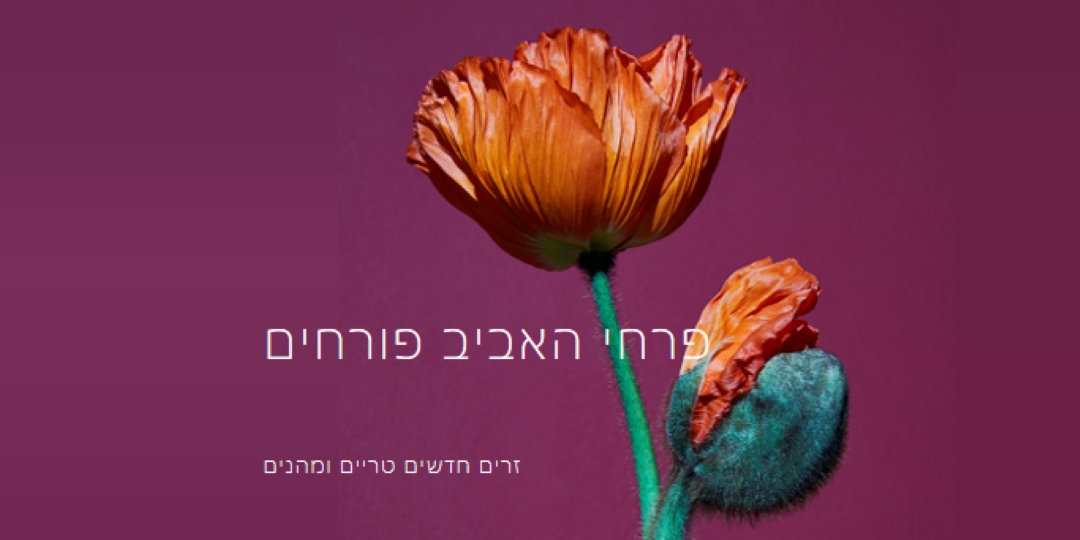 פרחים טריים purple modern-simple