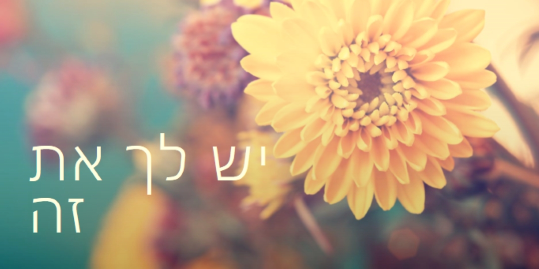 עלי כותרת משגשגים yellow modern-simple