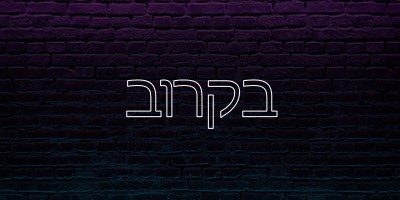 בקרוב purple modern-bold