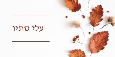 העלים נפלו white modern-simple